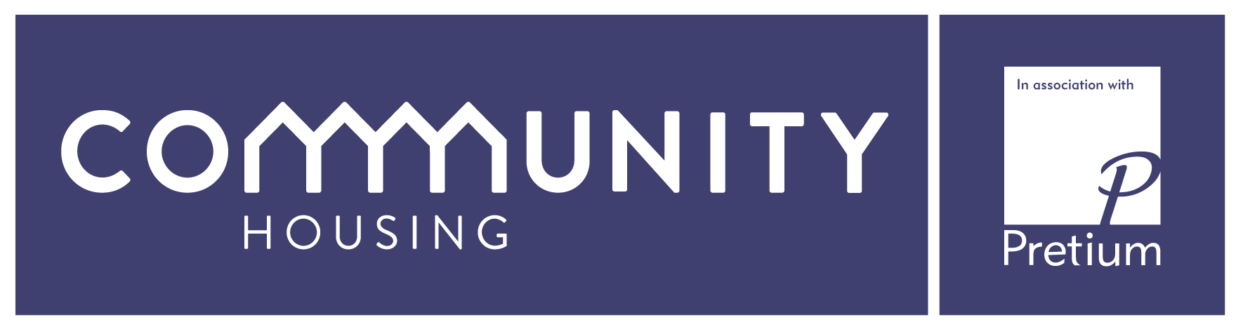 Pretium Partner Logo Ideas:layout 1